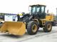 XCMG ZL30FV  2018 г. в